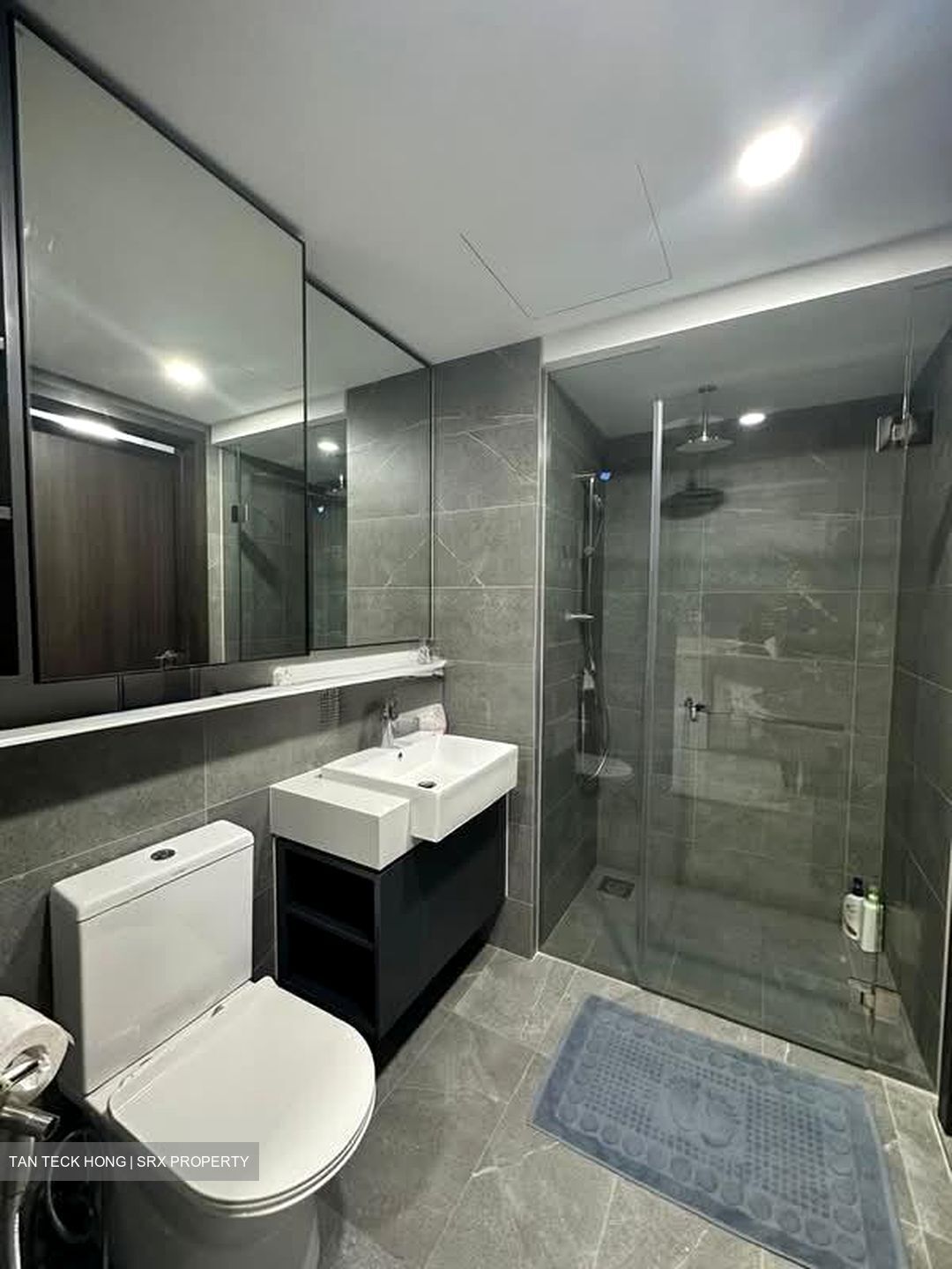 Riverfront Residences (D19), Apartment #592998731
